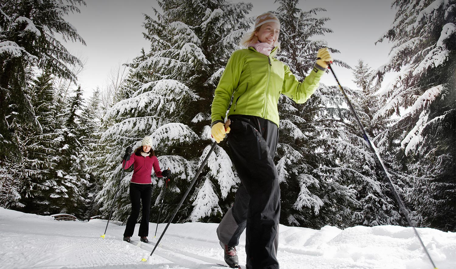 Ski outdoor. Лыжник в лесу. Беговые лыжи девочка. Девушка на лыжах в лесу. Ходить на лыжах.