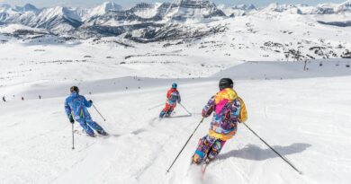 Flere danskere kom til skade på skiferien i uge 7 i år